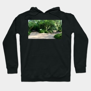 Two Paths Hoodie